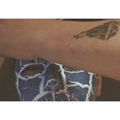 Sniffer Ases foto