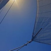 Jen Fowler's photo