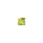 Steve Carney's photo