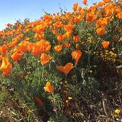 Patty White's photo