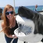 Stacy Hammond's photo