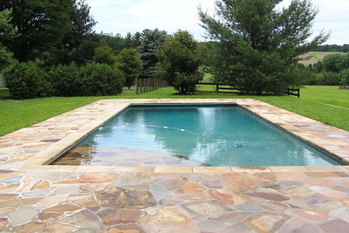 Elegant pool photo in Baltimore