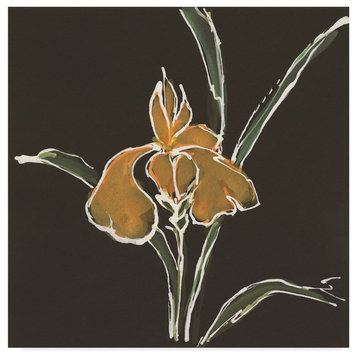Chris Paschke 'Iris On Black Vi' Canvas Art, 14"x14"