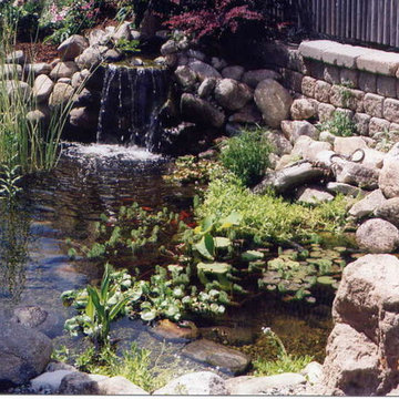 TJB-INC Display Gardens & Ponds - 12 Crestway Hamden