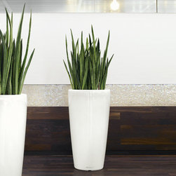 Modern Planter - Products