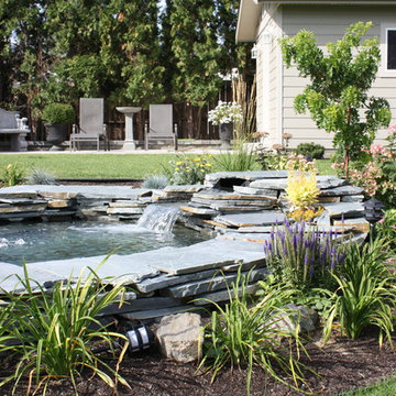 Water Features & Ponds