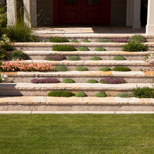 Exterior Ideas