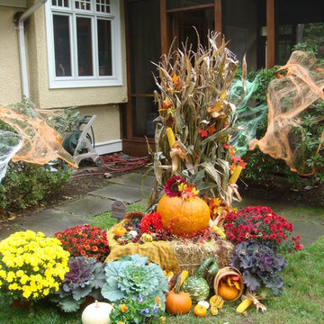 Seasonal Displays