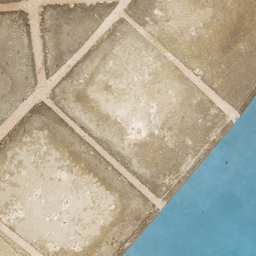 Peacock Pavers by Josh Moates