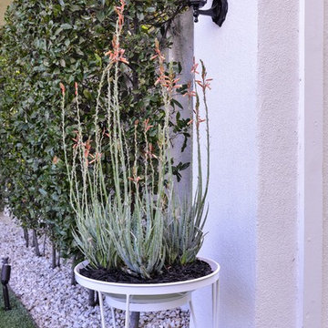 Steel Life's Shallow Root Vessel | Frost