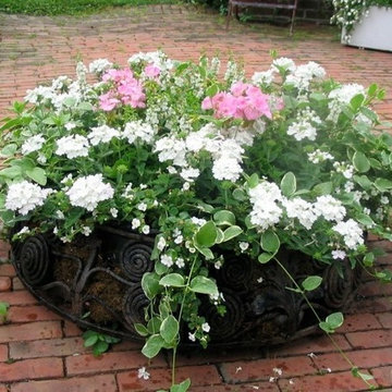 Container Design - Spring and Summer