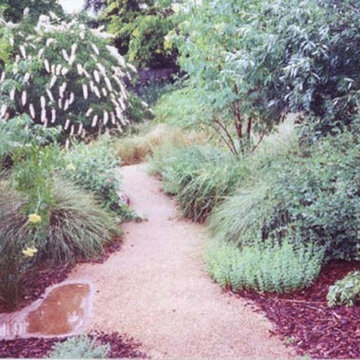 Natomas Backyard Bird Sanctuary