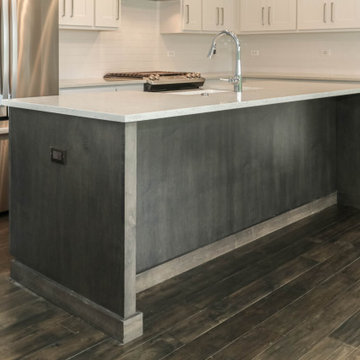 Modified Laguna I | Reserves of Dunmoor Estates Plainfield, IL