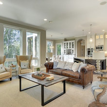 Living Room Ideas