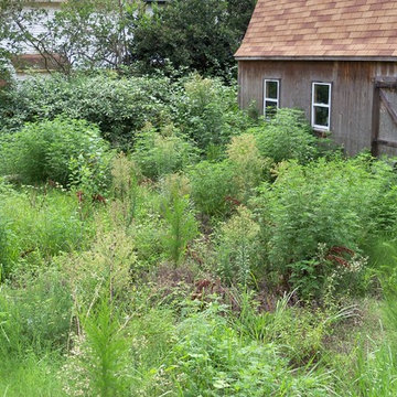 Ugly Yard Contest Winner