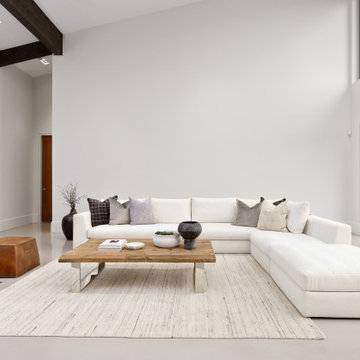 Living Room - Contemporary