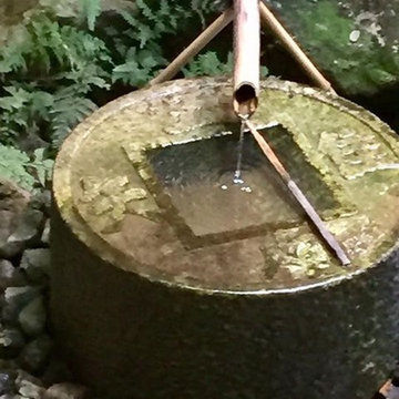 Ideas for a Japanese style garden