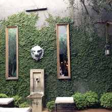 Terraza Sotano