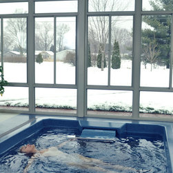 Endless Pool&reg; Swim Spa Series - Lifestyle And Leisure