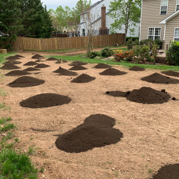 Lawn renovation