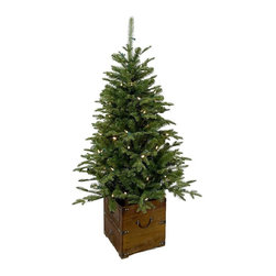 4 ft. Pre-Lit Frasier Artificial Christmas Porch Tree with Warm White Battery Op - Artificial Plants And Trees