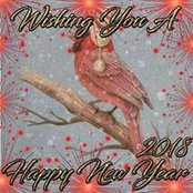 Debra O'Connor McDole's photo
