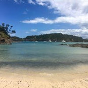Julie Hall's photo