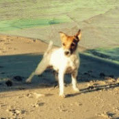 Patricia Giedraitis's photo