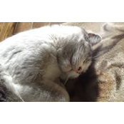 Mari Majima's photo