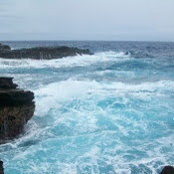 Karen Kramer's photo
