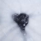 Rachel Clohisy's photo