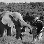 Toni Pallent's photo