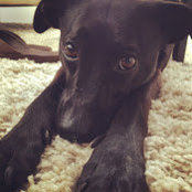 Kris B.'s photo