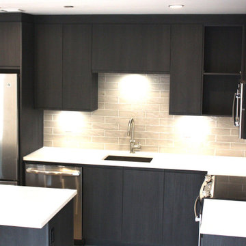 Utilzing Limited Apartment Space to Create a Gourmet Transitional Kitchen