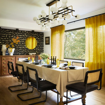 Mid Century Modern house Renovation