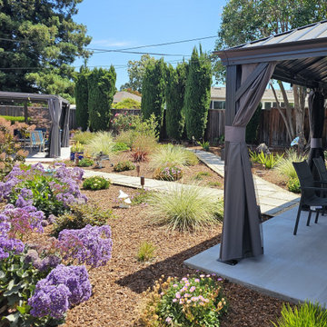 New Back yard