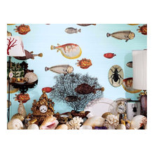 rachel_gerstein's ideas