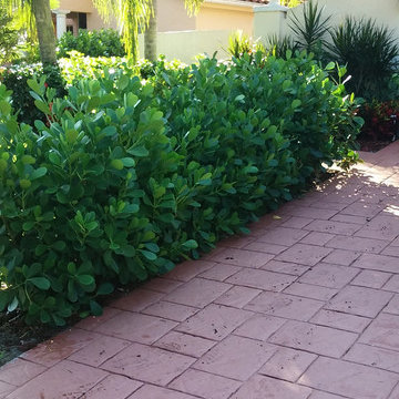 Privacy Hedges