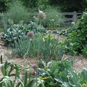 Ornamental vegetable gardening