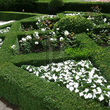 270 Landscaping