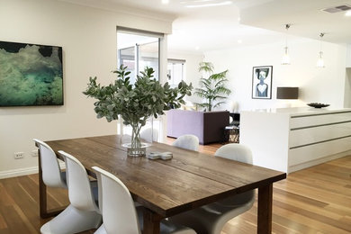 Contemporary open plan dining in Perth with white walls and light hardwood floors.