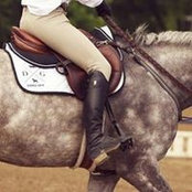 Foto von Amanda Cheslock