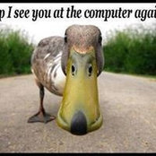 Bill Weaver's photo