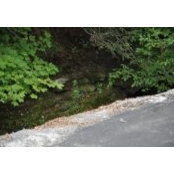 Edna Vance's photo