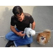 David Fratto's photo