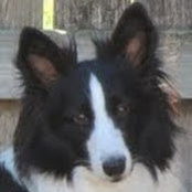 Dee Crosby's photo