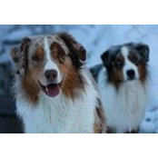 Peter Kendall's photo