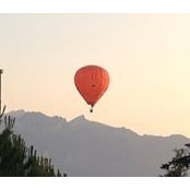 Gina Vickers's photo