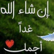 Shaymaa Shaker's photo