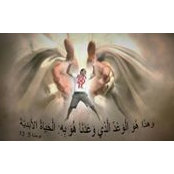 Fady Onsys foto